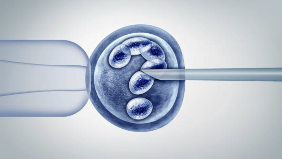 Fertility Treatment Options: The Basics