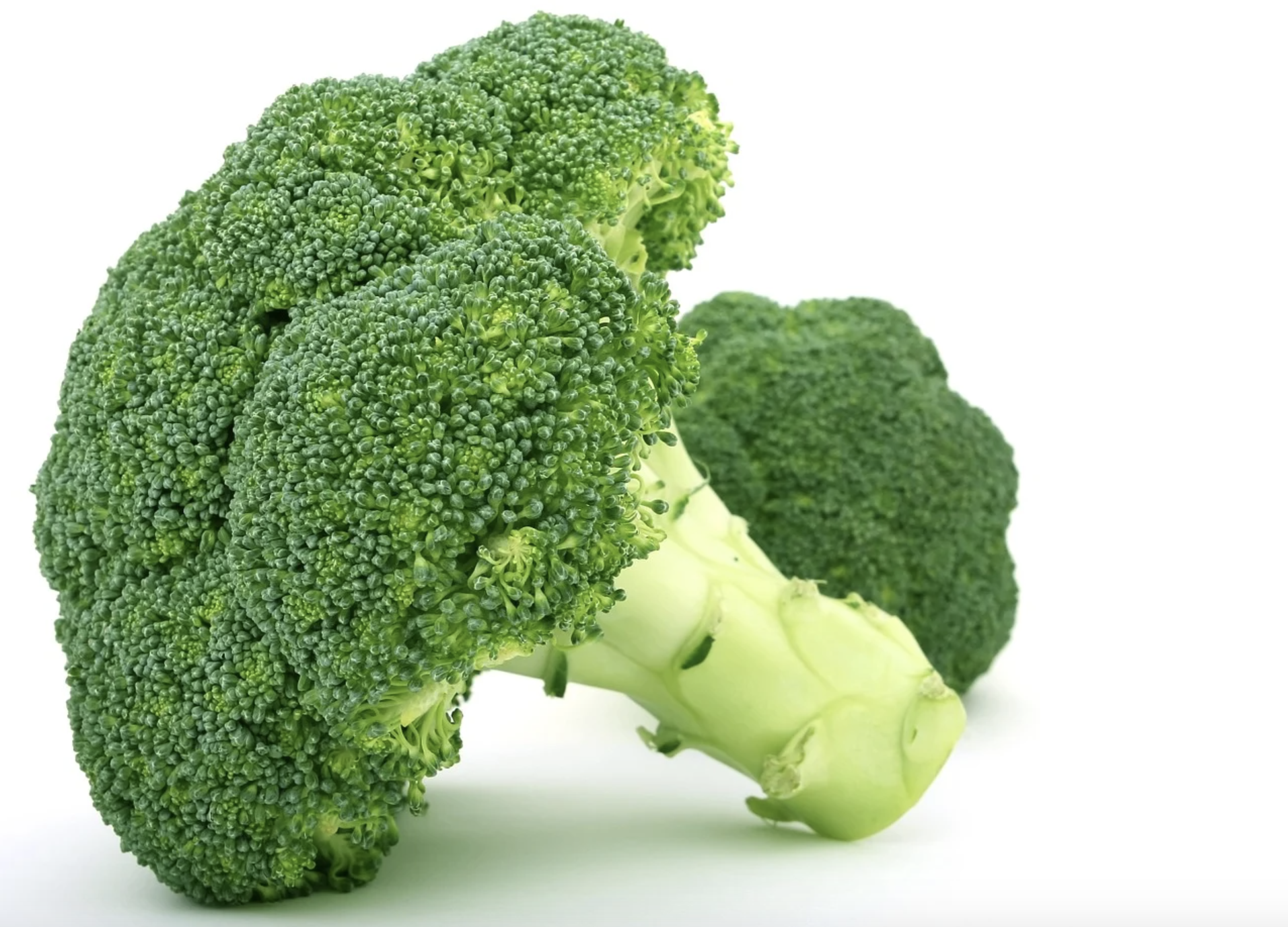 What is Broccoli Good For?