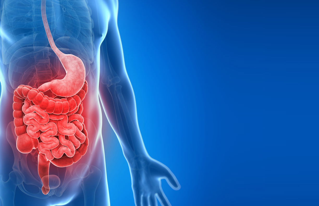 All About Inflammatory Bowel Disease