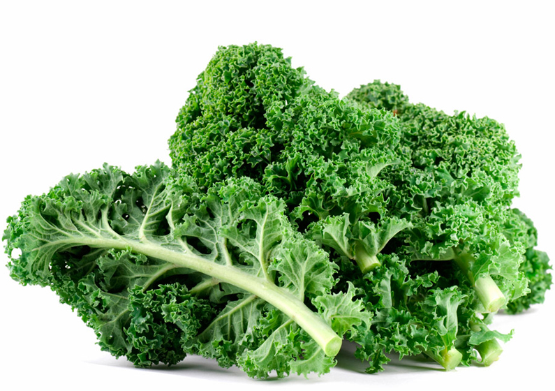 The Green Superfood: All About Kale